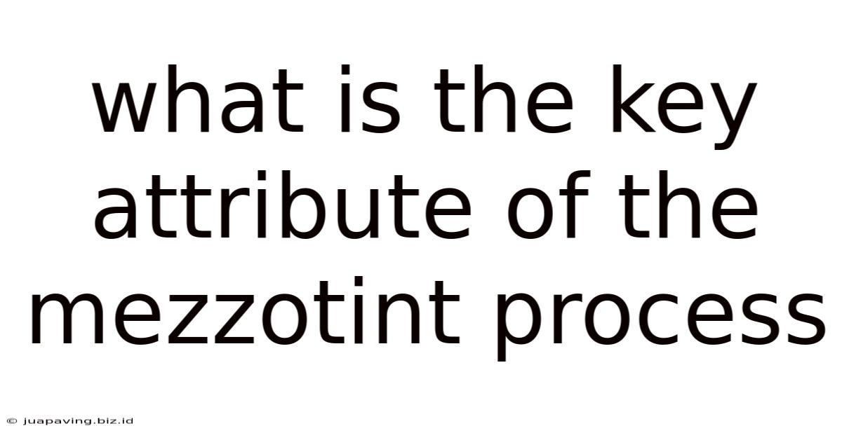 What Is The Key Attribute Of The Mezzotint Process