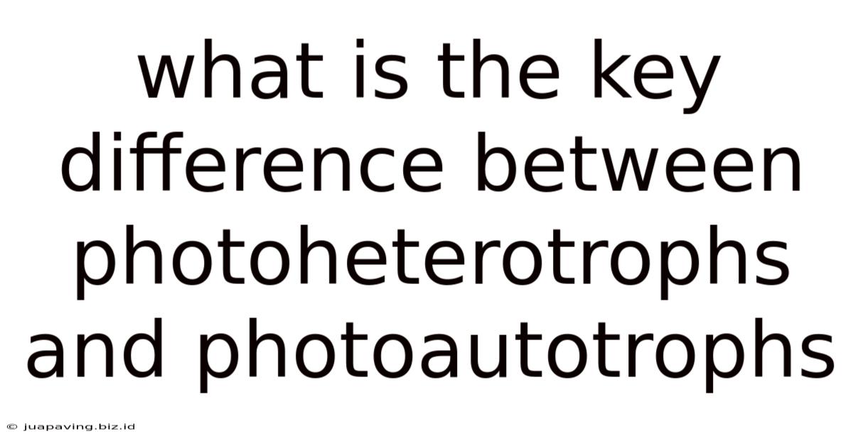 What Is The Key Difference Between Photoheterotrophs And Photoautotrophs