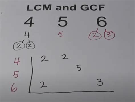 What Is The Lcm Of 4 5 And 6