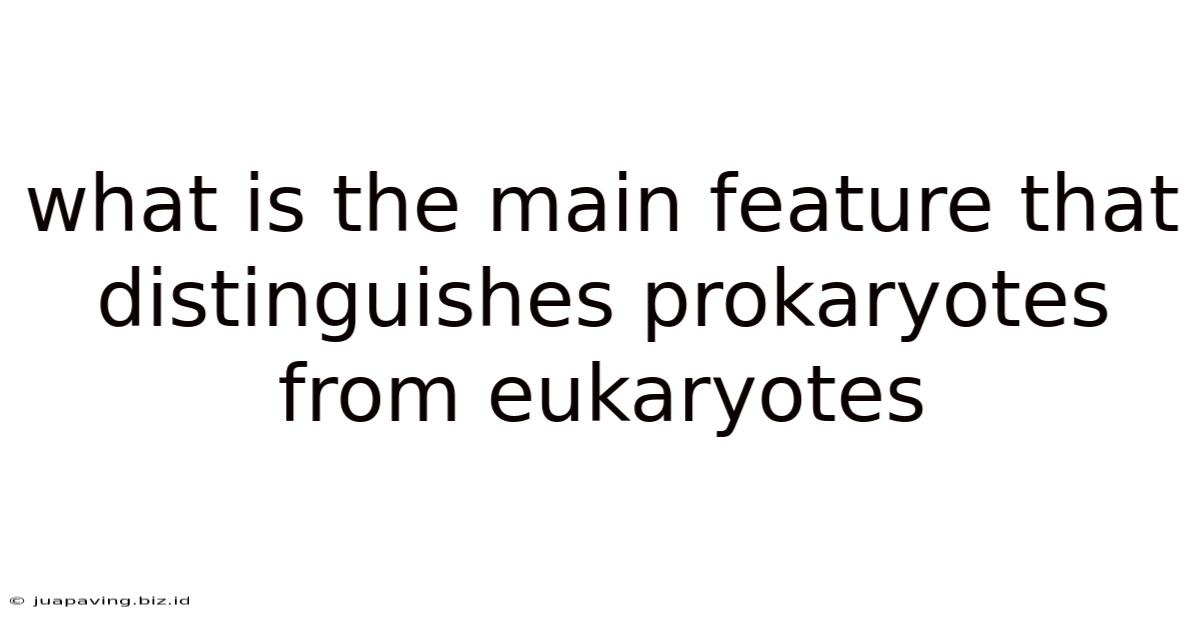 What Is The Main Feature That Distinguishes Prokaryotes From Eukaryotes