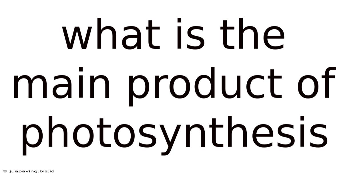 What Is The Main Product Of Photosynthesis