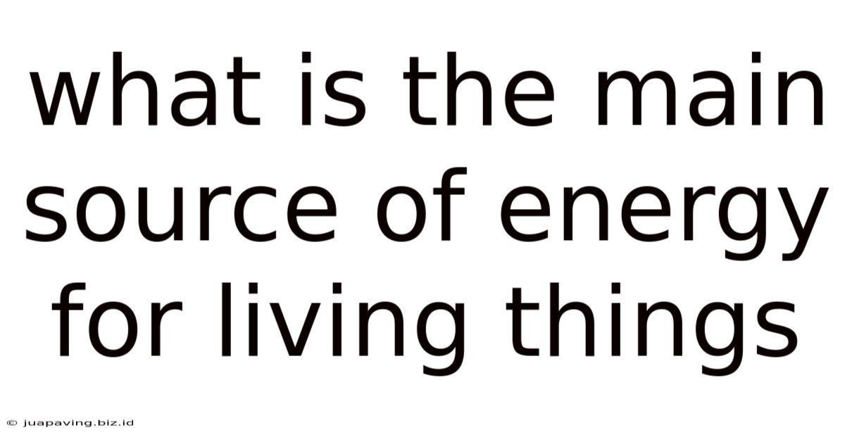 What Is The Main Source Of Energy For Living Things
