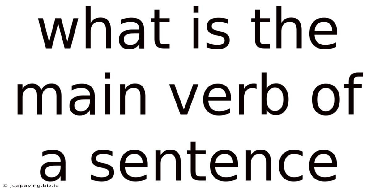 What Is The Main Verb Of A Sentence