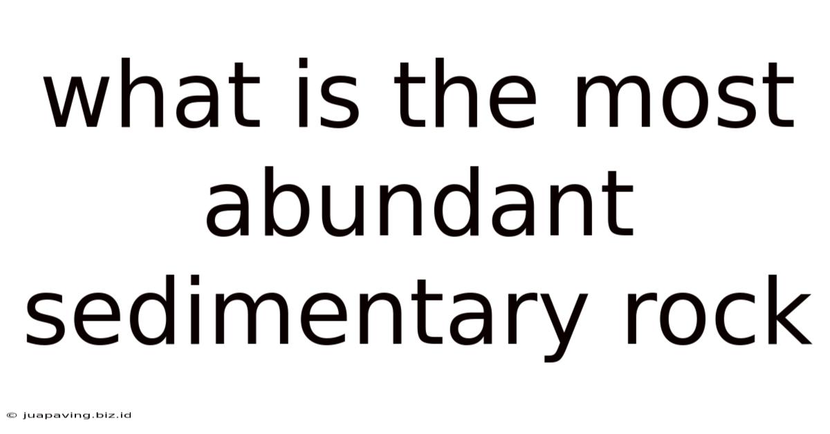 What Is The Most Abundant Sedimentary Rock