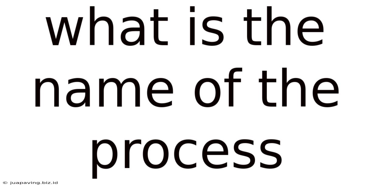 What Is The Name Of The Process