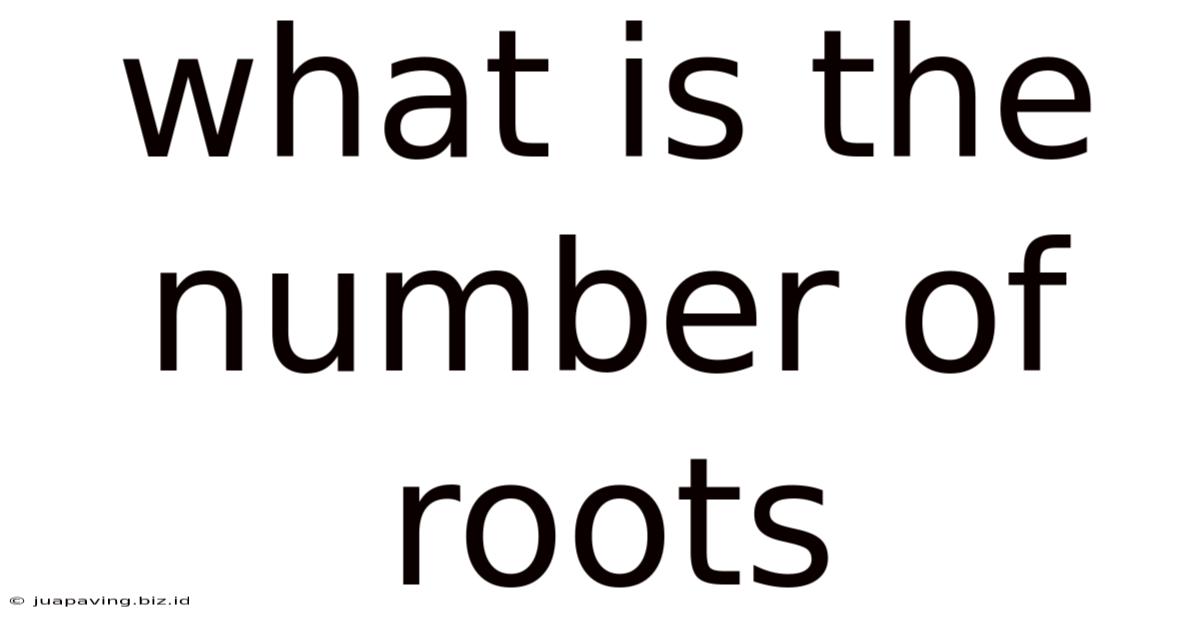 What Is The Number Of Roots
