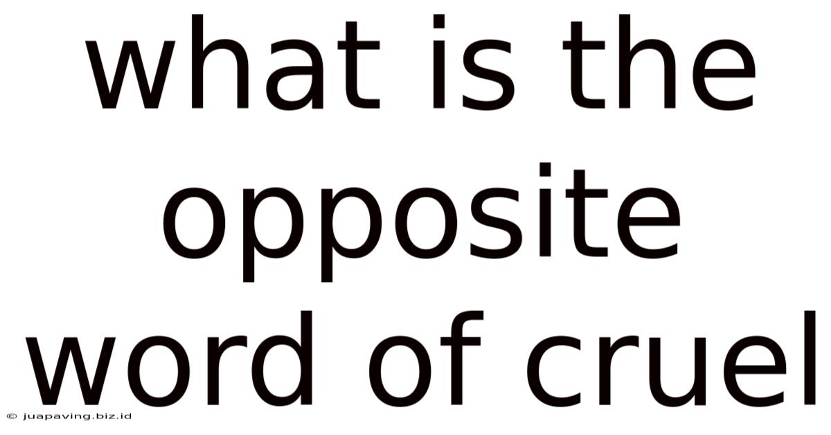 What Is The Opposite Word Of Cruel
