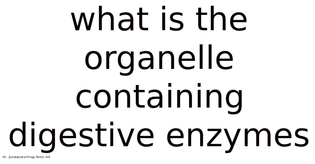 What Is The Organelle Containing Digestive Enzymes
