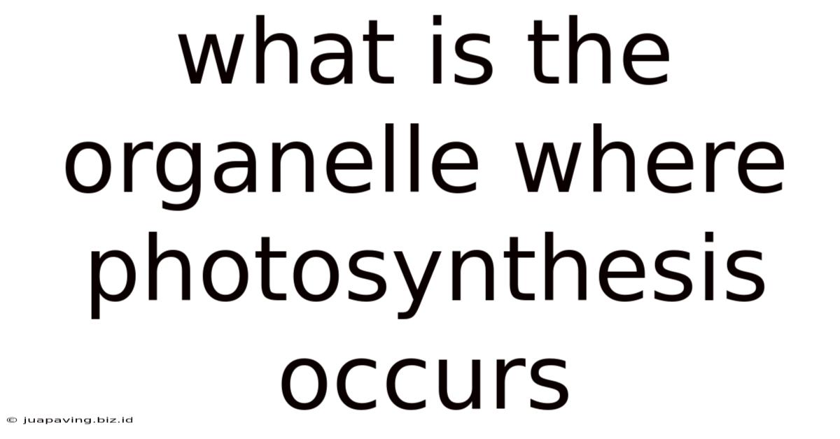 What Is The Organelle Where Photosynthesis Occurs