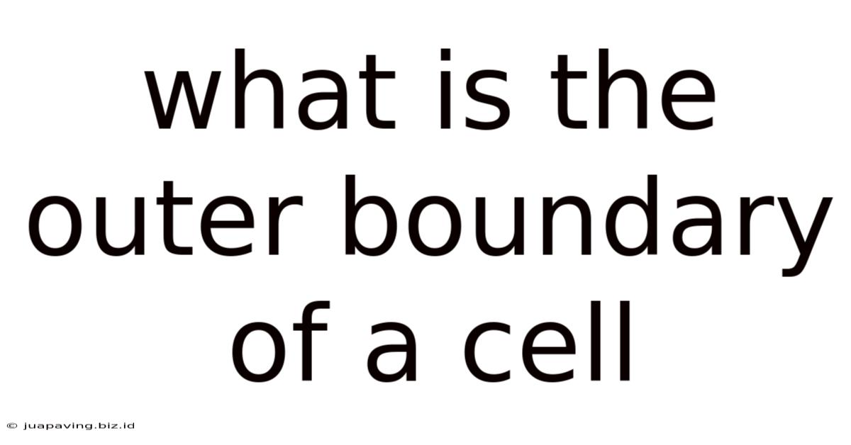 What Is The Outer Boundary Of A Cell