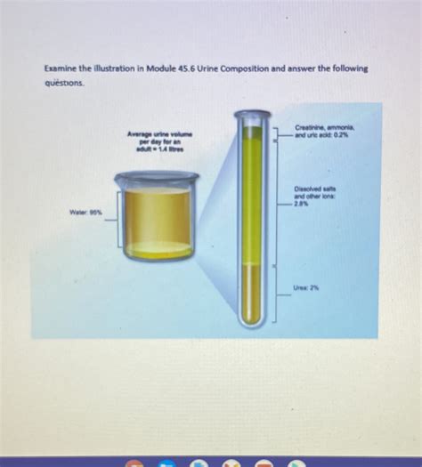 What Is The Percentage Of Water In Urine