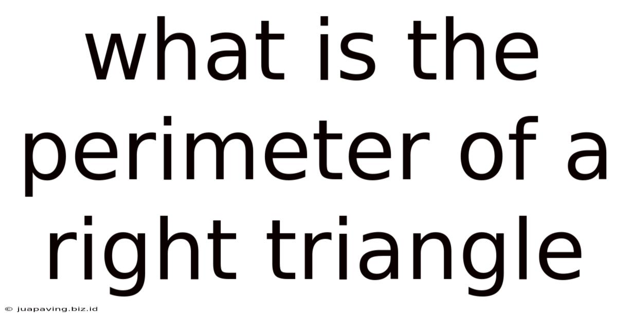 What Is The Perimeter Of A Right Triangle