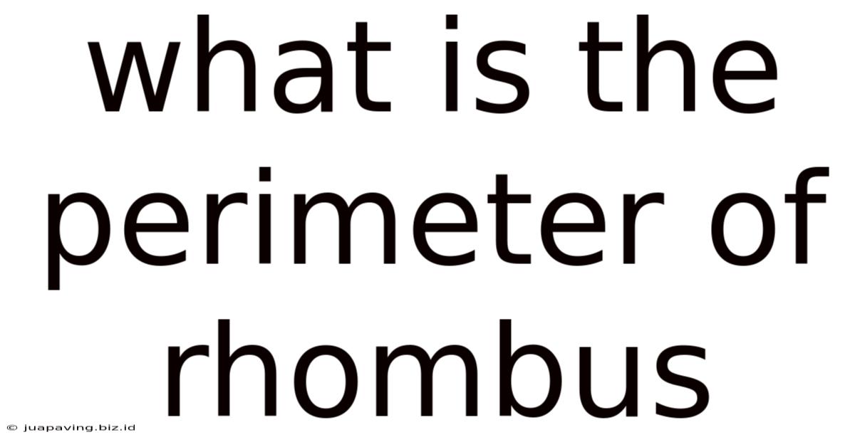 What Is The Perimeter Of Rhombus