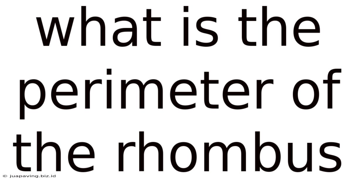 What Is The Perimeter Of The Rhombus
