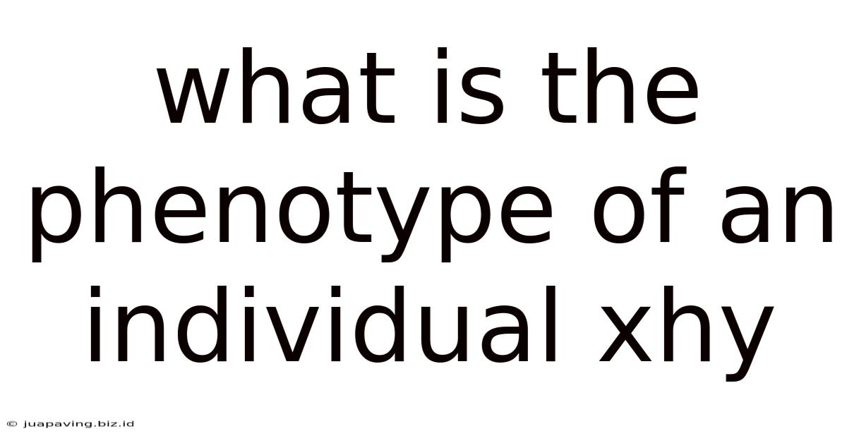 What Is The Phenotype Of An Individual Xhy