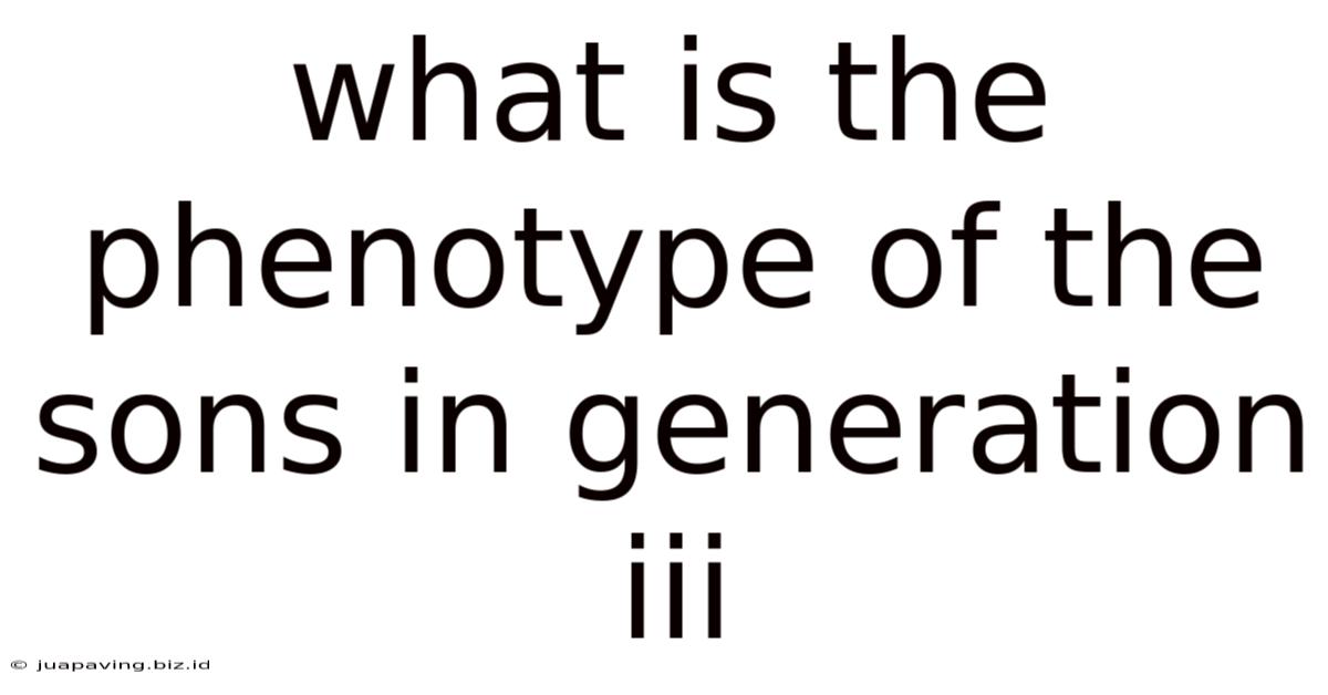 What Is The Phenotype Of The Sons In Generation Iii