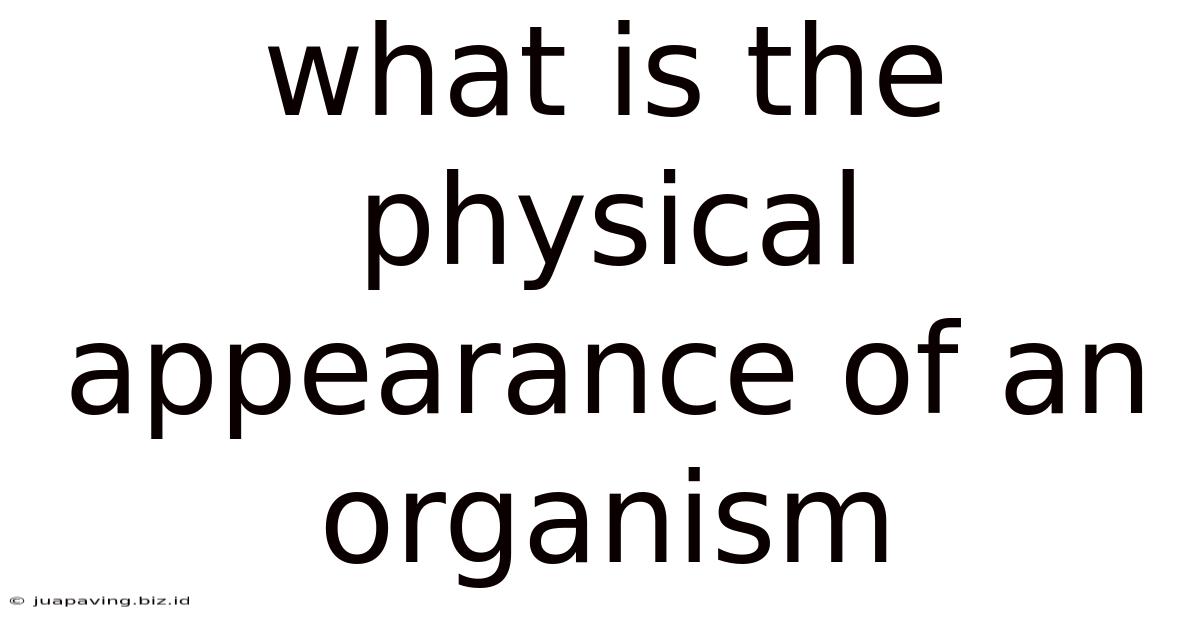What Is The Physical Appearance Of An Organism