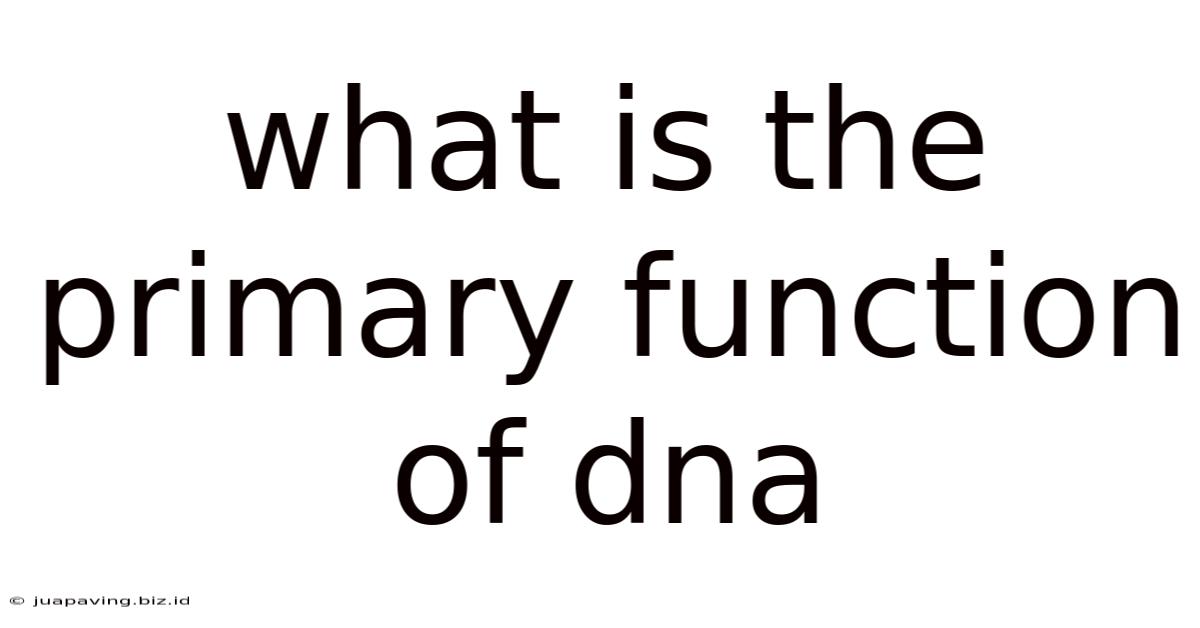 What Is The Primary Function Of Dna