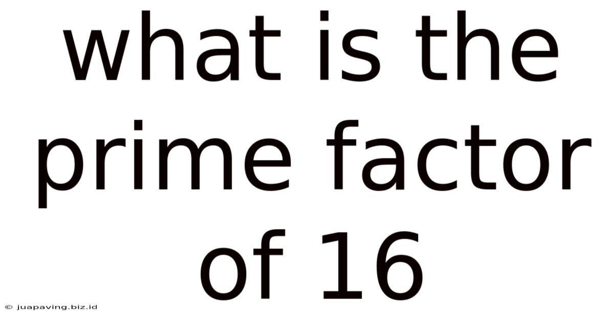 What Is The Prime Factor Of 16