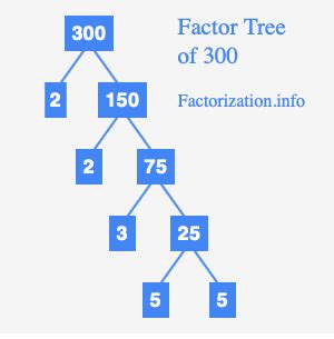 What Is The Prime Factor Of 300