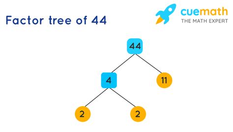 What Is The Prime Factorization 44