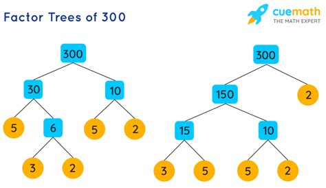 What Is The Prime Factorization Of 300