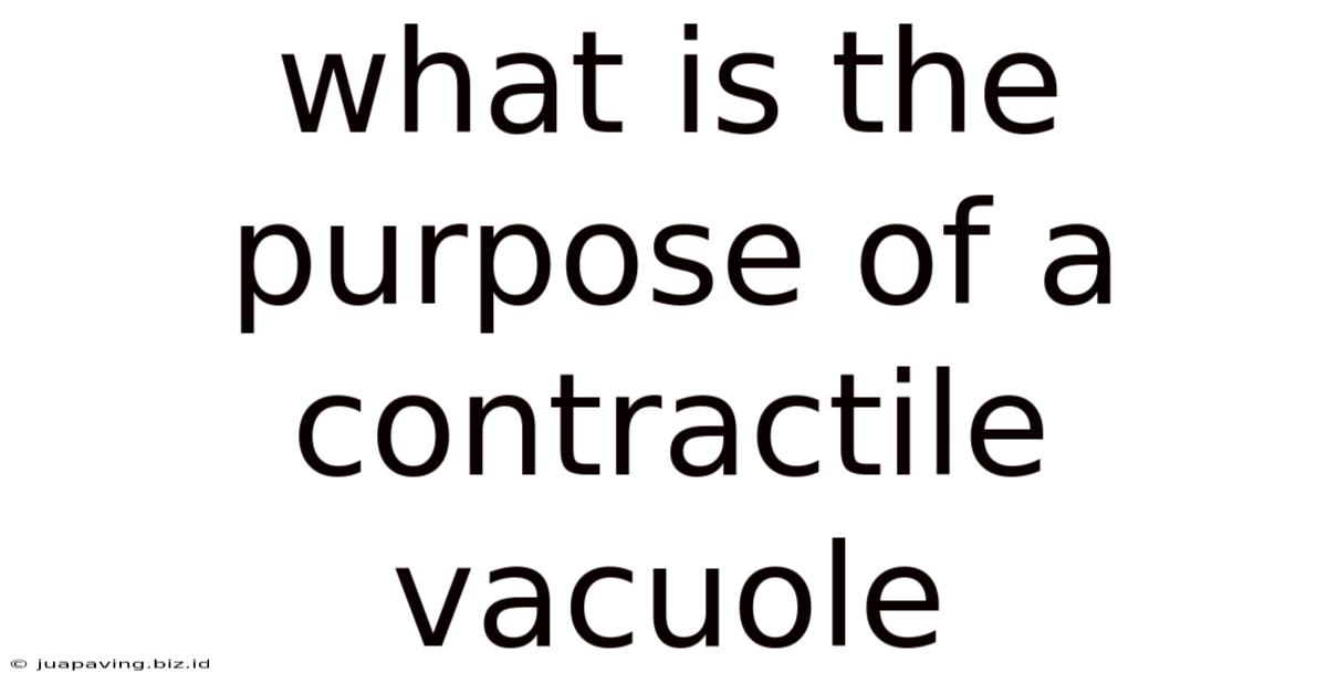 What Is The Purpose Of A Contractile Vacuole
