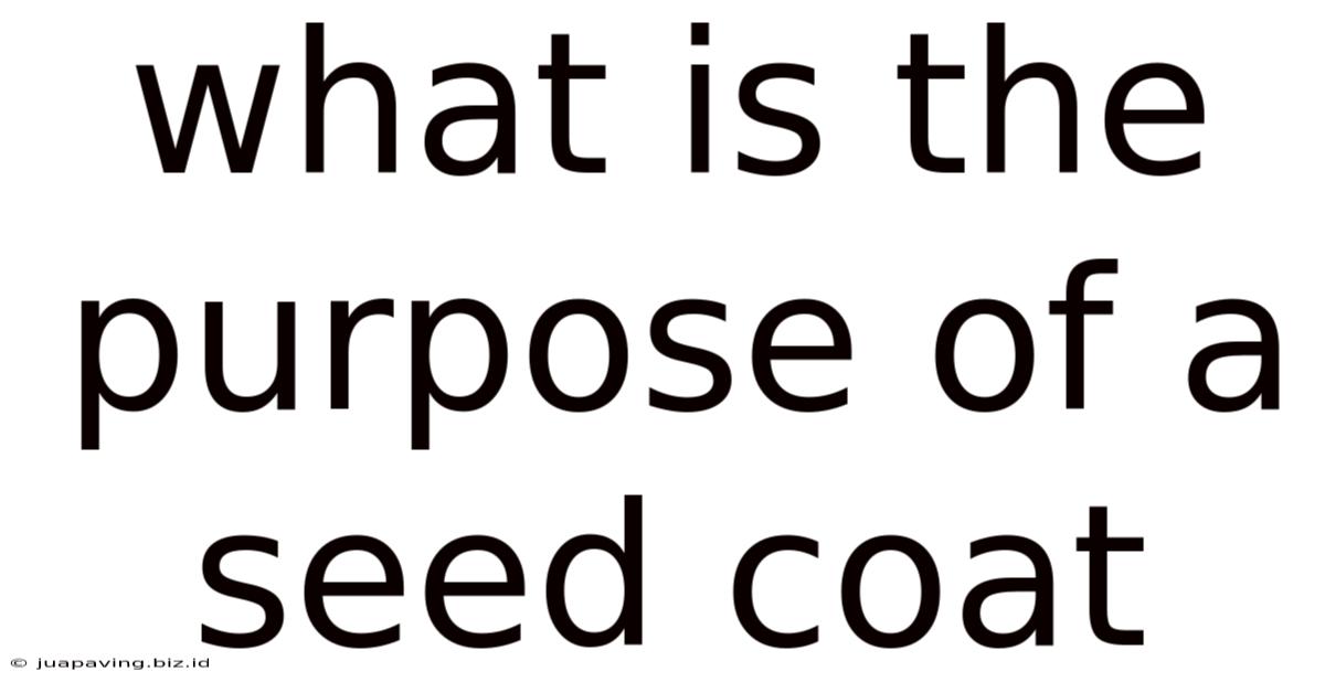 What Is The Purpose Of A Seed Coat