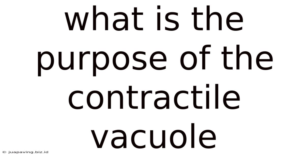 What Is The Purpose Of The Contractile Vacuole