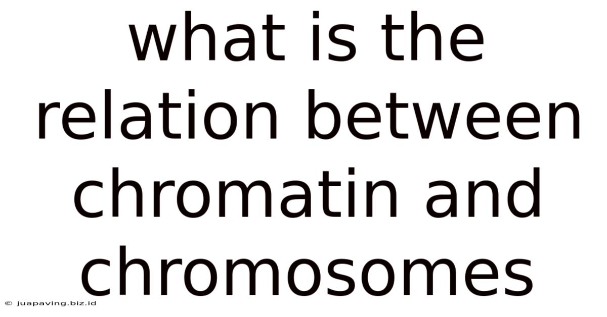 What Is The Relation Between Chromatin And Chromosomes