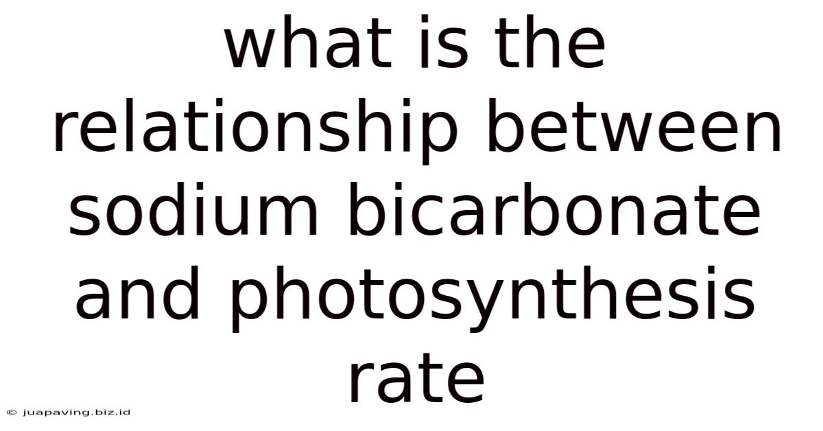 What Is The Relationship Between Sodium Bicarbonate And Photosynthesis Rate
