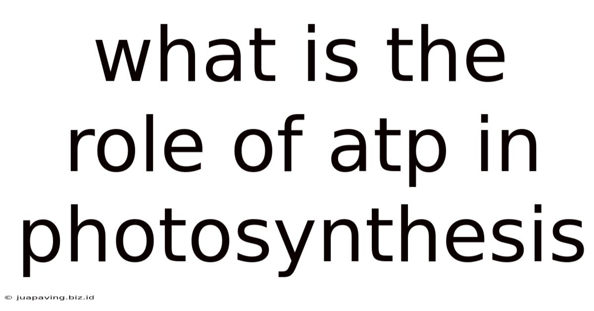 What Is The Role Of Atp In Photosynthesis