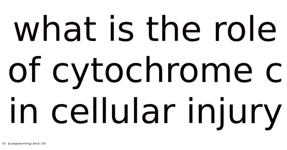 What Is The Role Of Cytochrome C In Cellular Injury