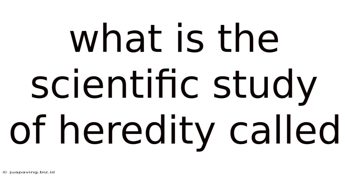 What Is The Scientific Study Of Heredity Called