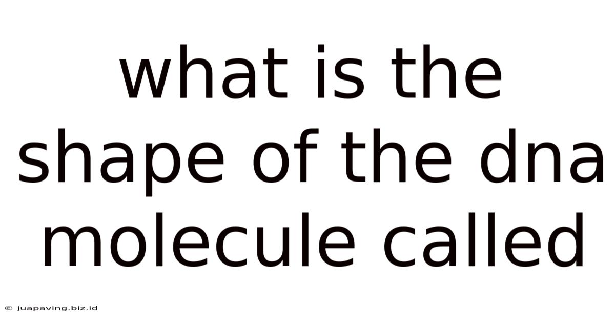 What Is The Shape Of The Dna Molecule Called