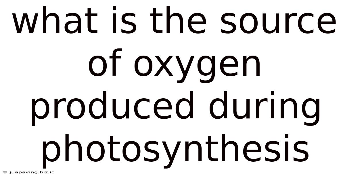 What Is The Source Of Oxygen Produced During Photosynthesis