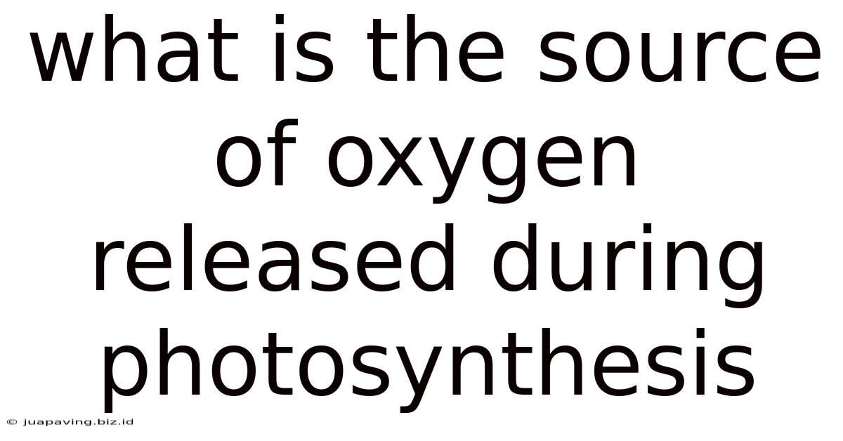 What Is The Source Of Oxygen Released During Photosynthesis