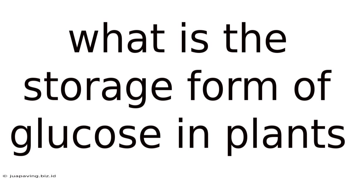 What Is The Storage Form Of Glucose In Plants