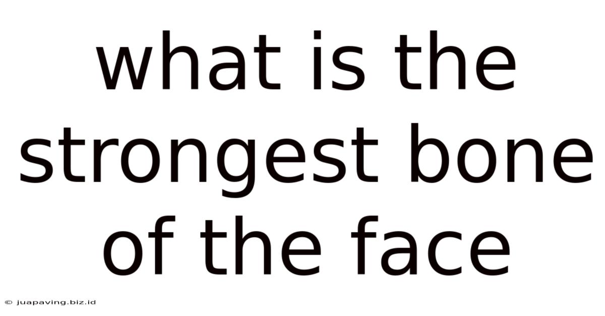 What Is The Strongest Bone Of The Face