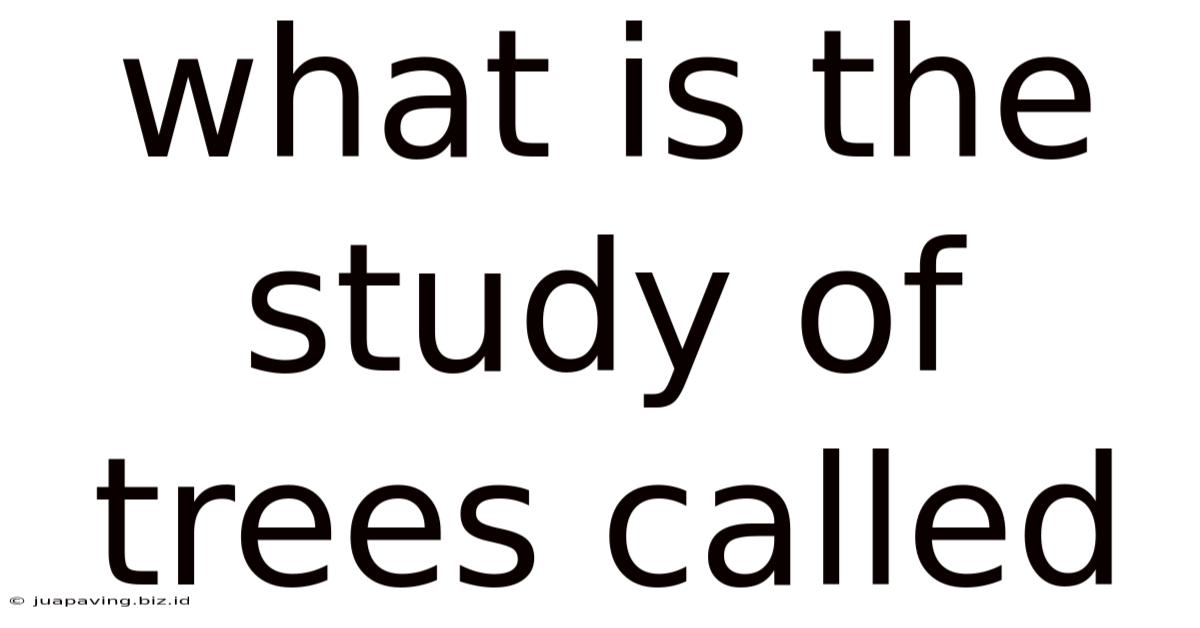 What Is The Study Of Trees Called