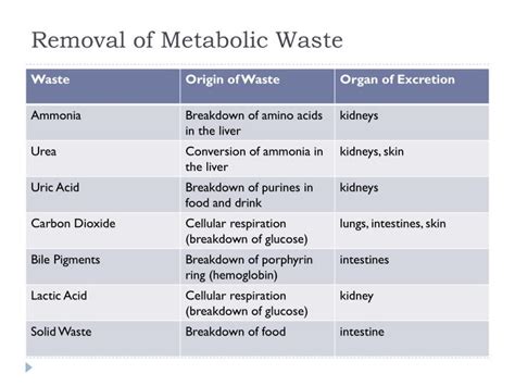 What Is The Term For The Removal Of Metabolic Waste