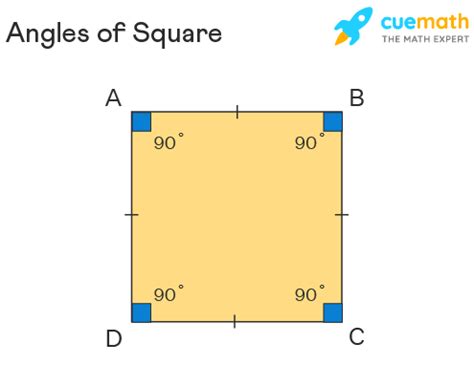 What Is The Total Degree Of Angles For All Squares