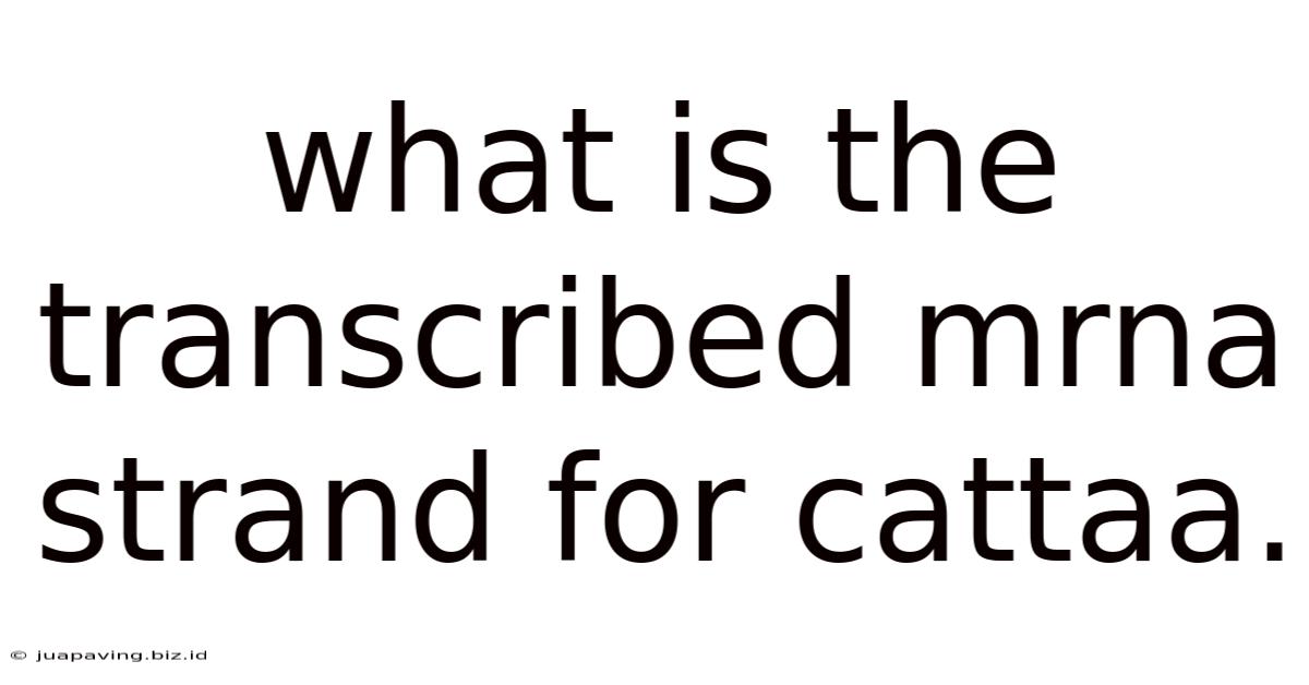 What Is The Transcribed Mrna Strand For Cattaa.