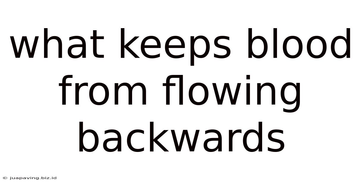 What Keeps Blood From Flowing Backwards