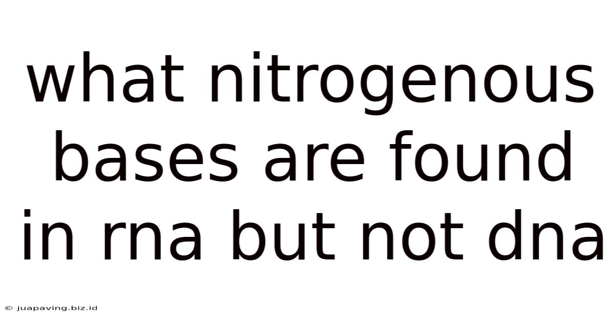 What Nitrogenous Bases Are Found In Rna But Not Dna