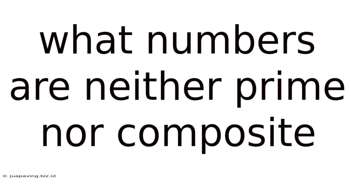 What Numbers Are Neither Prime Nor Composite