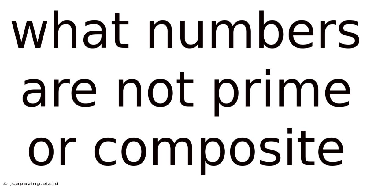 What Numbers Are Not Prime Or Composite