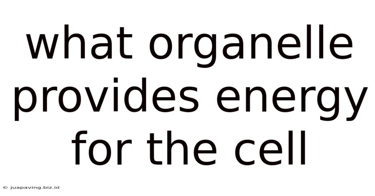 What Organelle Provides Energy For The Cell