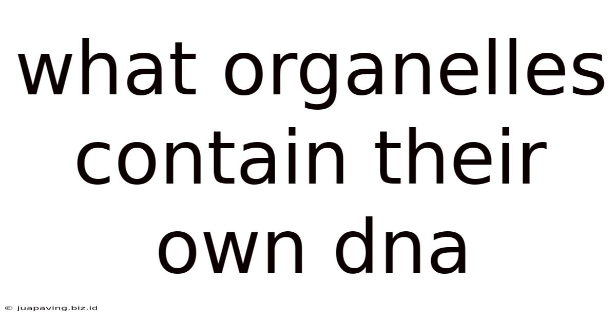 What Organelles Contain Their Own Dna