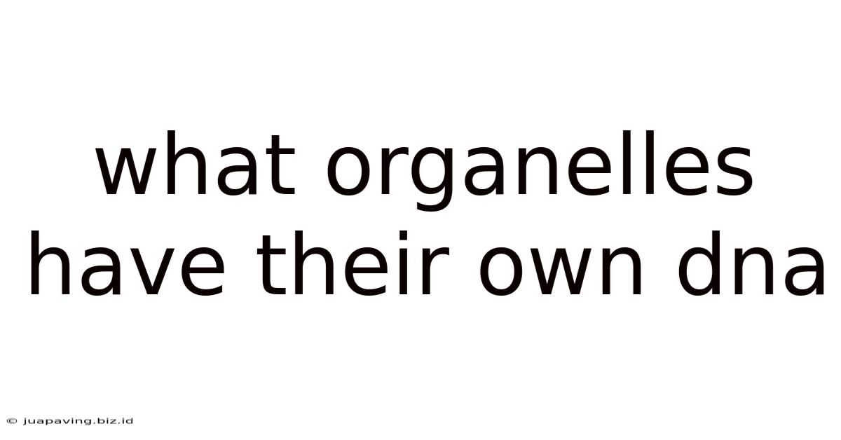 What Organelles Have Their Own Dna